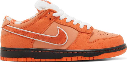 Concepts x Dunk Low SB &