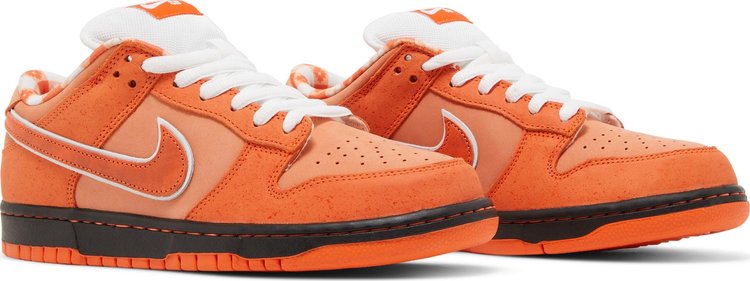 Concepts x Dunk Low SB &