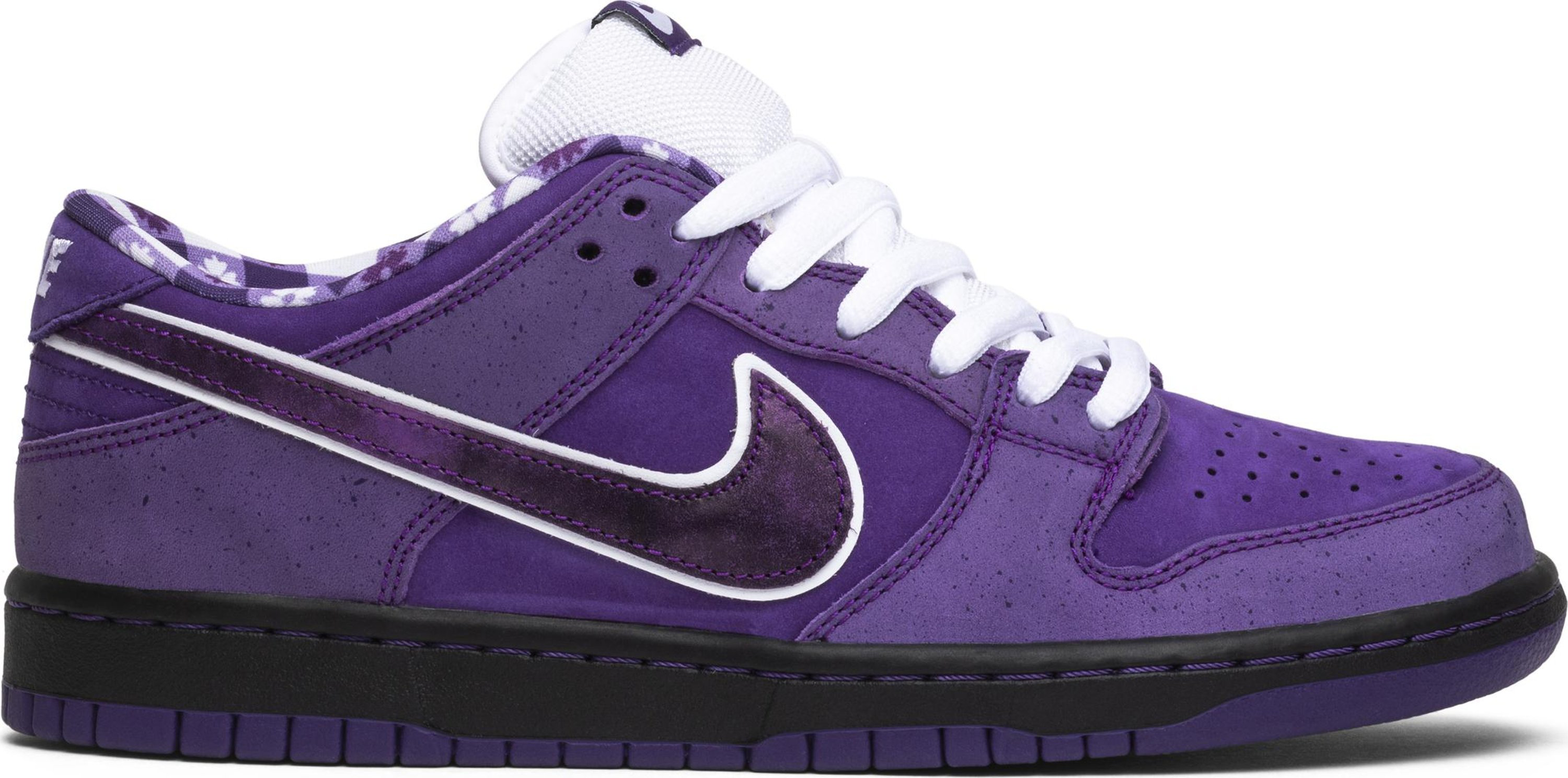 Concepts x Dunk Low SB &