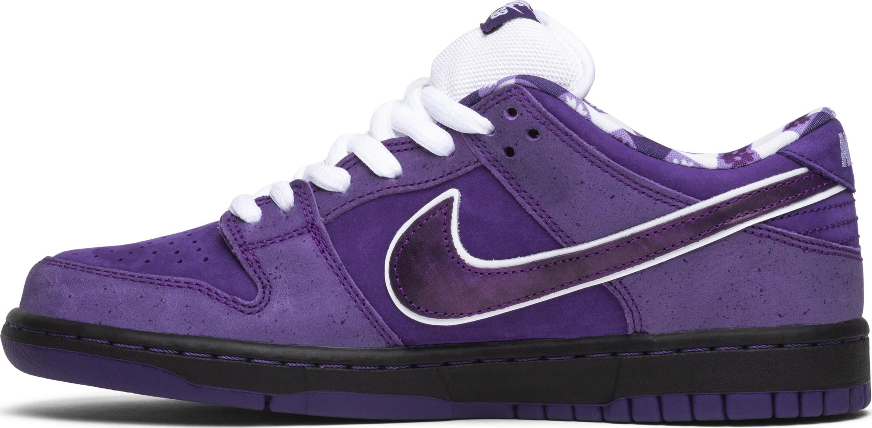 Concepts x Dunk Low SB &